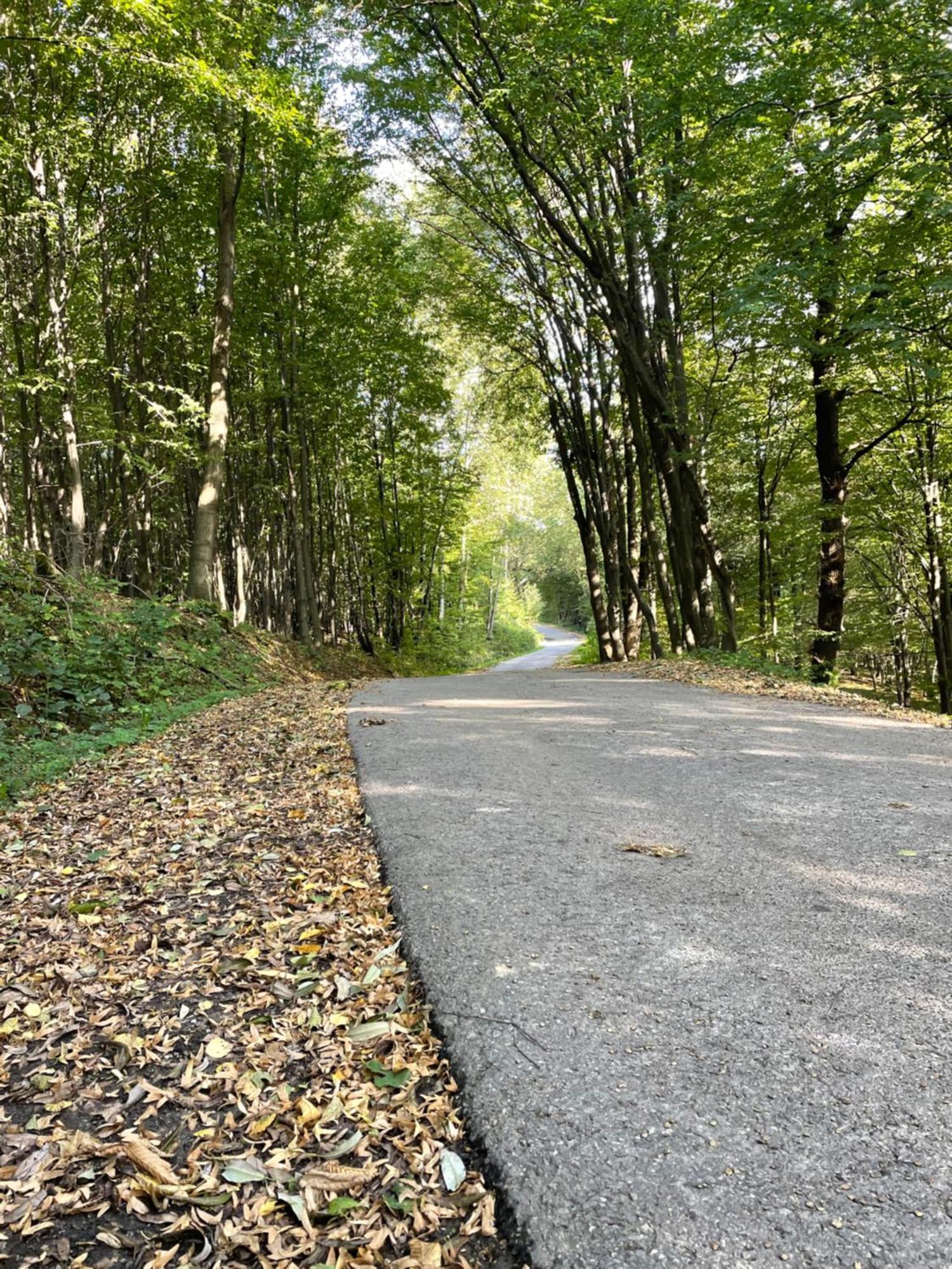 Wioska Jasia I Malgosi Vila Izdebnik Exterior foto