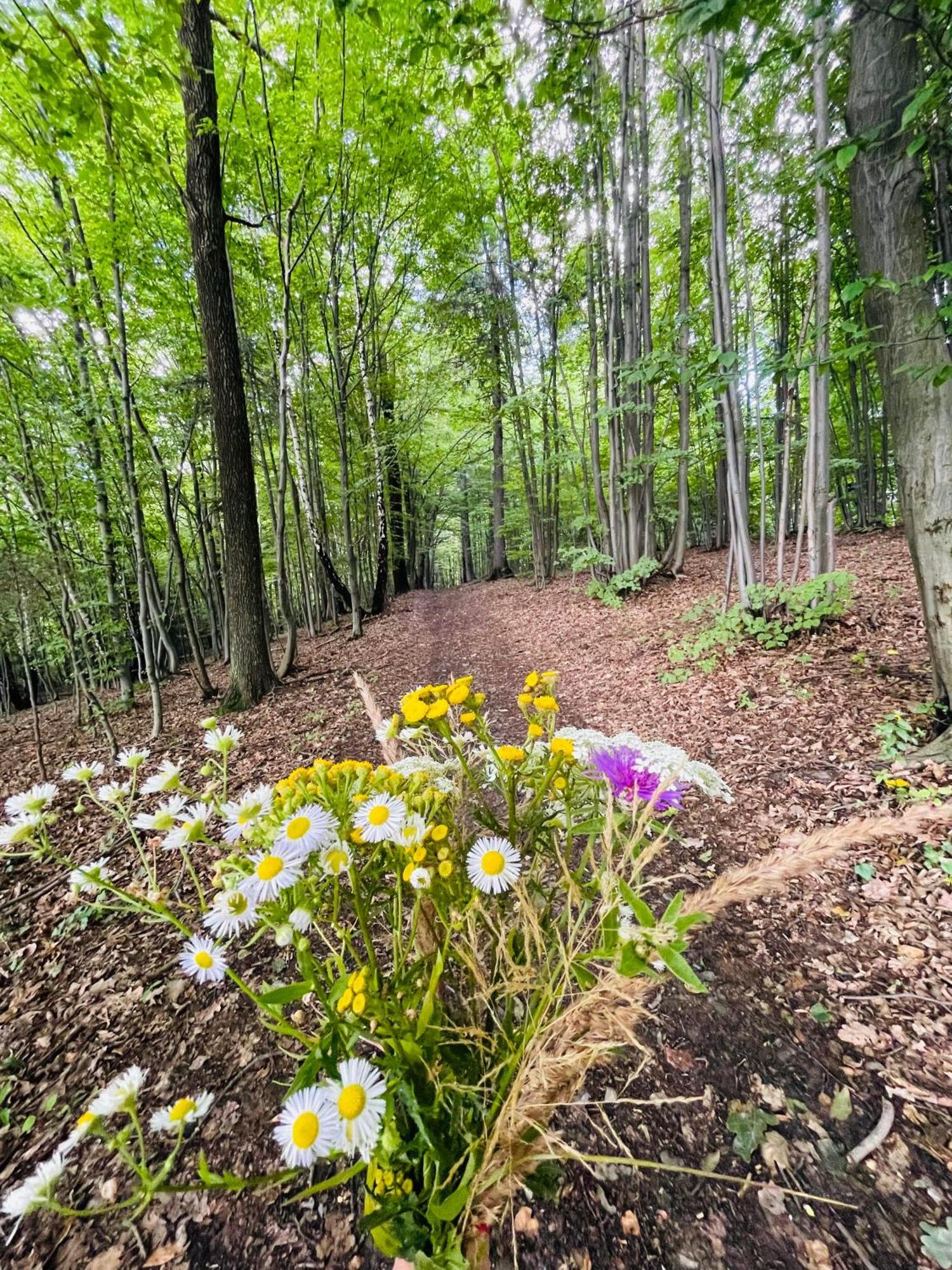 Wioska Jasia I Malgosi Vila Izdebnik Exterior foto