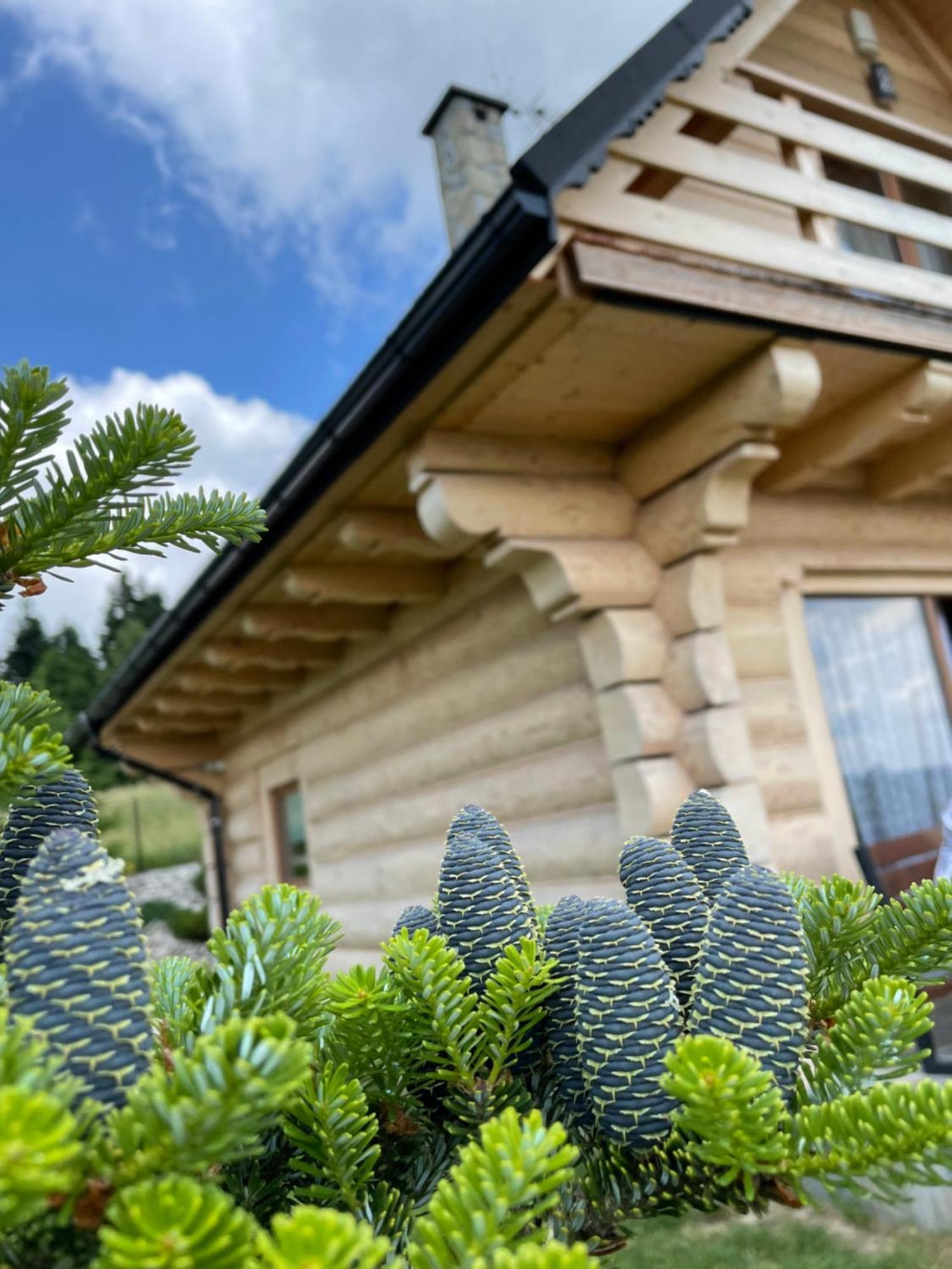 Wioska Jasia I Malgosi Vila Izdebnik Exterior foto